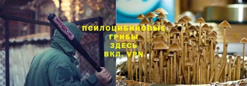 Псилоцибиновые грибы Magic Shrooms Осинники